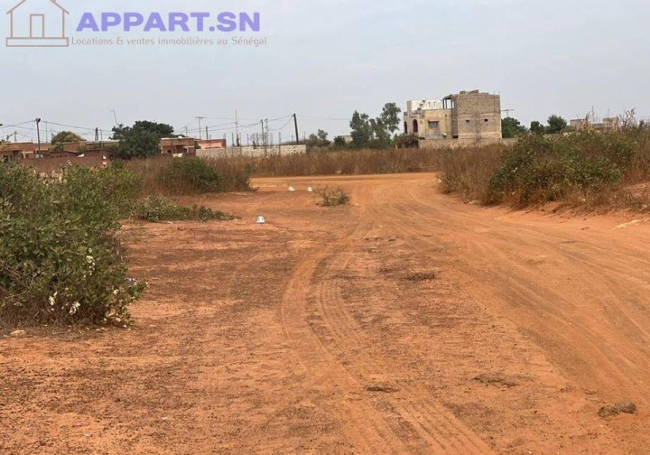 Terrain 200 m² AIBD Guédiawaye Sénégal