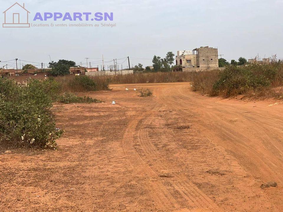 Terrain 200 m² AIBD