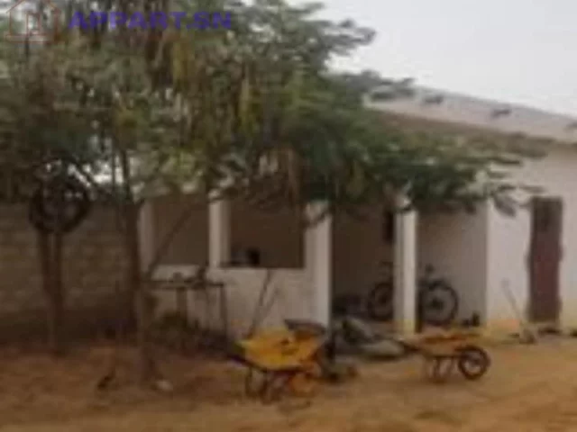 Ferme Agricole de 6 347 m2 péage Saly Portudal Saly Portudal • Mbour Sénégal