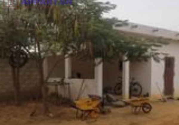 Ferme Agricole de 6 347 m2 péage Saly Portudal Saly Portudal • Mbour Senegal