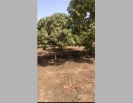 Villa à vendre à Nguekokh Mbour Mbour Sénégal