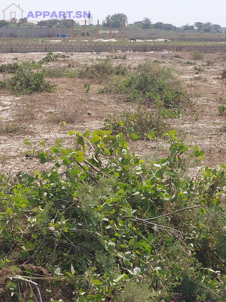 Terrain 150 m² Bambilor 