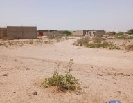 Terrain de 300 m² à vendre à Sinthiou Mbadane - Mbour Mbour Senegal