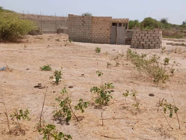 Terrain de 300 m² à vendre à Sinthiou Mbadane - Mbour Mbour Senegal