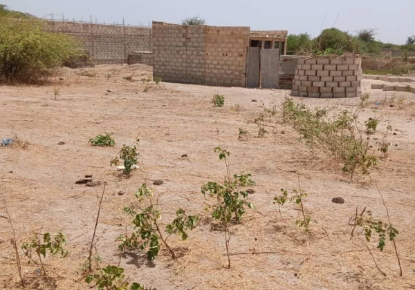 Terrain de 300 m² à vendre à Sinthiou Mbadane - Mbour Mbour Senegal