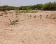 Terrain de 300 m² à vendre à Sinthiou Mbadane - Mbour Mbour Senegal