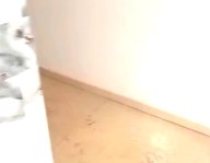 Studio à louer à Grand Mbao Cité Baobab 2 – RDC accessible Keur Massar, Mbao Senegal